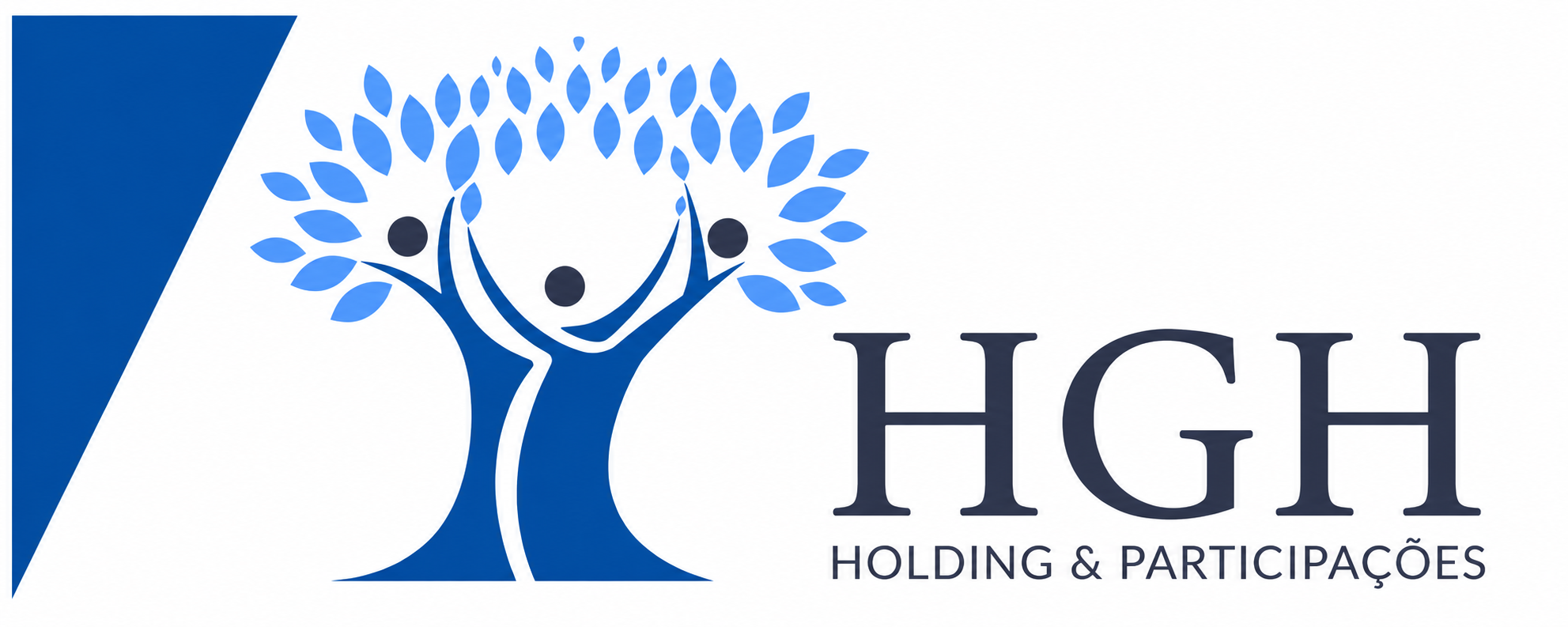 HGH Holding & Participações